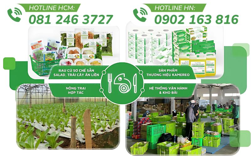 Kamereo mang đến giải pháp cung ứng thực phẩm chất lượng