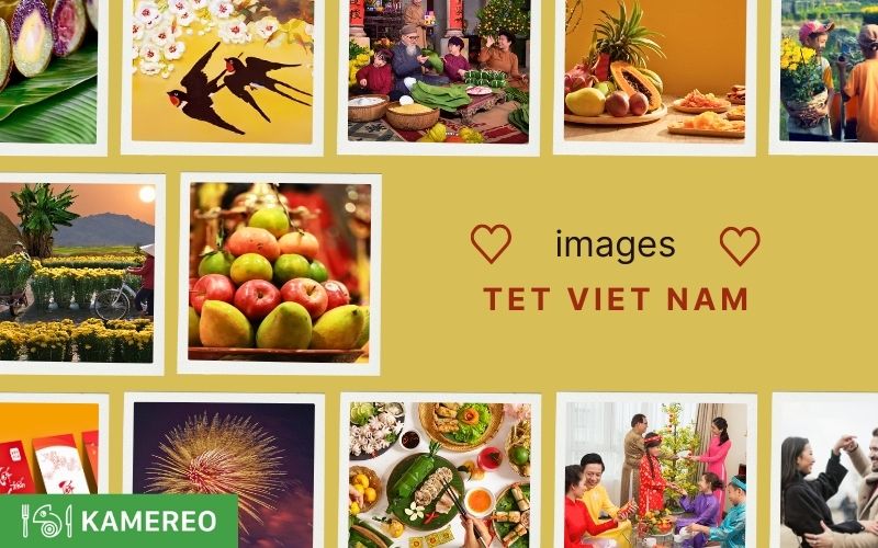 Beautiful Tết Images for Backgrounds and Designs