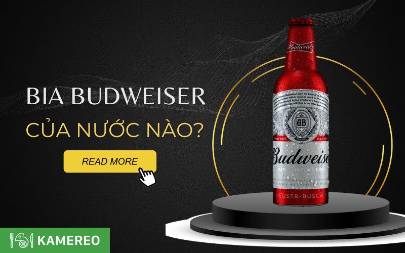 Bia Budweiser của nước nào? Các loại bia Budweiser phổ biến