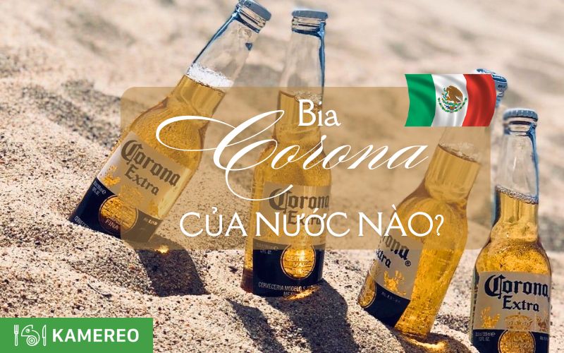 Bia Corona của nước nào? Nguồn gốc và địa chỉ cung cấp