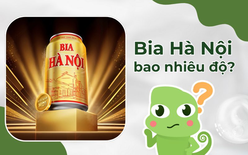 Bia Hà Nội bao nhiêu độ? Nồng độ cồn các loại bia Hà Nội