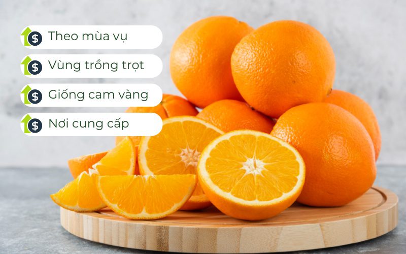 Giá cam vàng phụ thuộc vào nhiều yếu tố