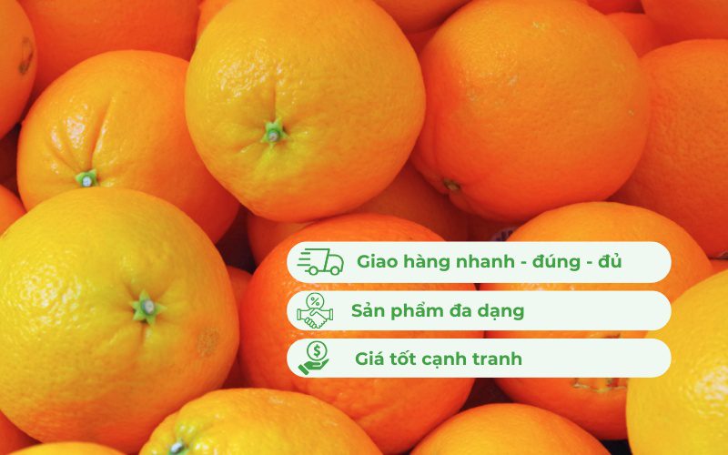 Kamereo là đối tác cung ứng cam vàng đáng tin cậy