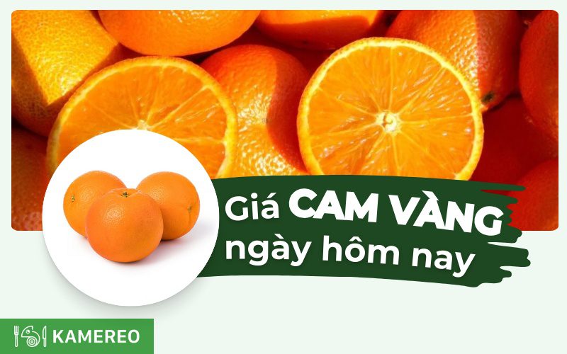 Cam vàng bao nhiêu 1kg? Giá cam vàng hôm nay