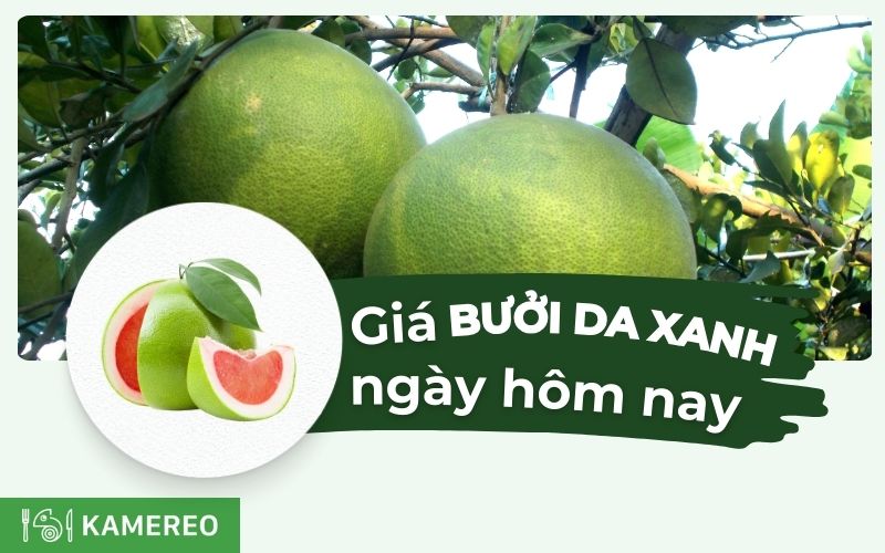 Giá bưởi da xanh hôm nay