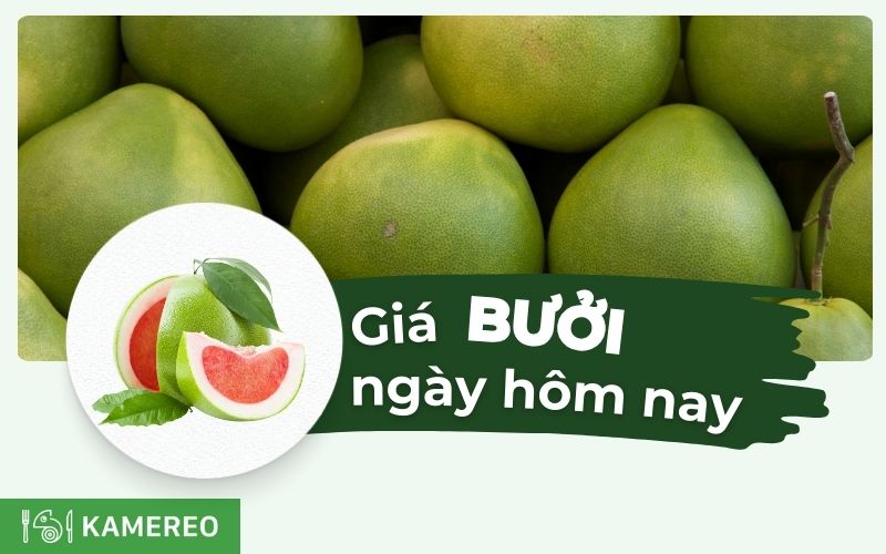 Giá bưởi hôm nay