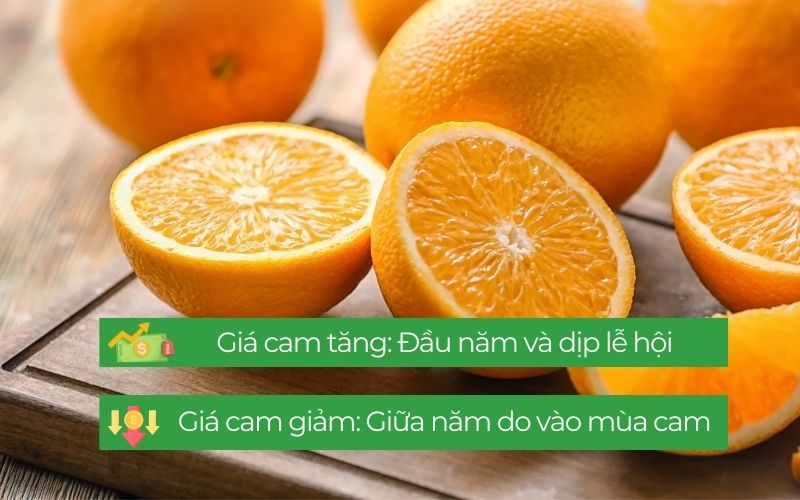 Giá cam có sự tăng cao vào các dịp đầu năm, mùa lễ và giảm vào giữa năm