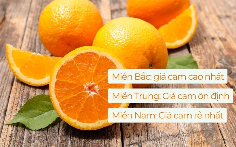 Giá cam rẻ nhất ở miền Nam, ổn định ở miền Trung và cao nhất ở miền Bắc
