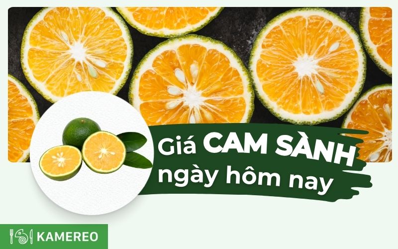 Giá cam sành hôm nay