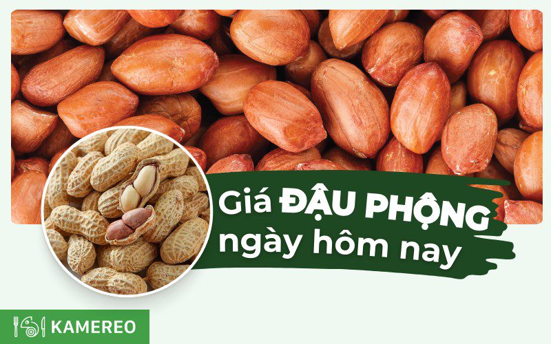 Giá đậu phộng tươi/khô hôm nay bao nhiêu?