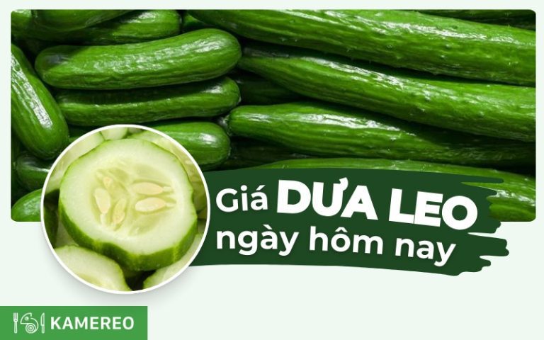 Dưa leo bao nhiêu 1kg? Giá dưa leo hôm nay