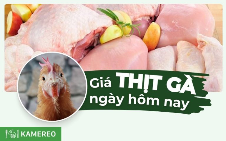 Gà bao nhiêu 1kg? Giá gà thịt hôm nay