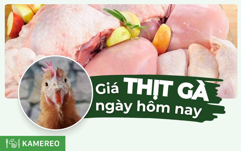 Gà bao nhiêu 1kg? Giá gà thịt hôm nay