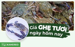 Ghẹ bao nhiêu 1kg? Giá ghẹ hôm nay