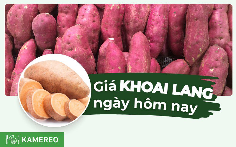 Khoai lang bao nhiêu 1kg? Giá khoai lang hôm nay