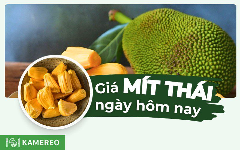 Giá cả thị trường mít Thái hôm nay bao nhiêu?