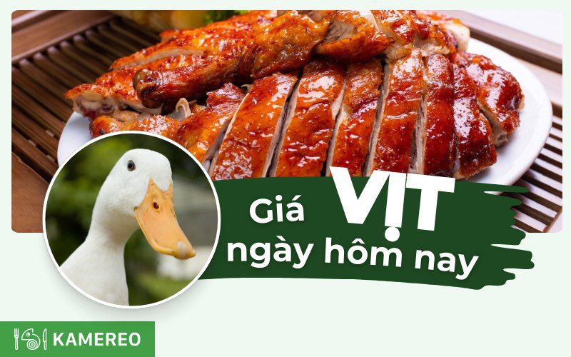 1kg vịt bao nhiêu tiền? Giá vịt hôm nay