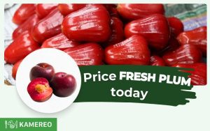 How Much Are Plums Per Kilogram? Today's Plum Prices