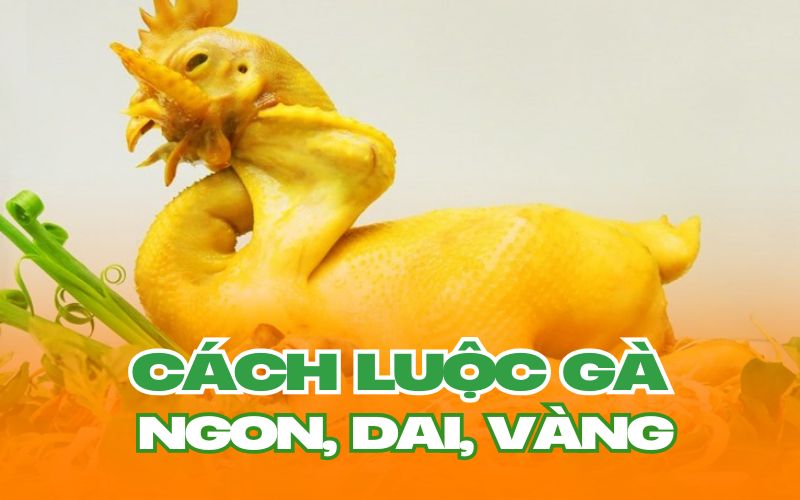 Cách luộc gà ngon, vàng giòn, dai lâu và không bị nứt da