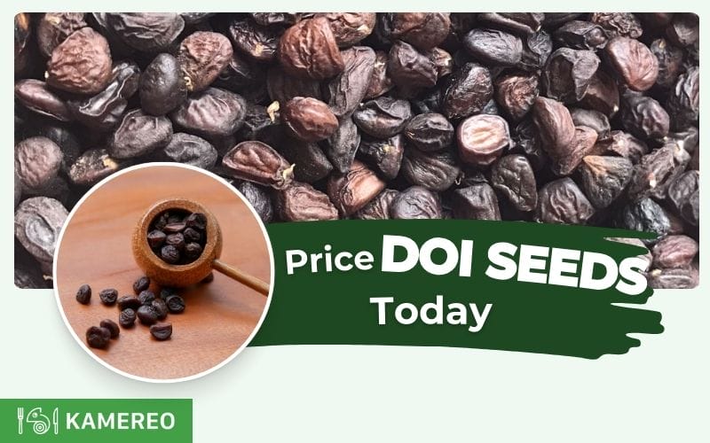 What is the price of dổi seeds today? Updated dổi seeds price