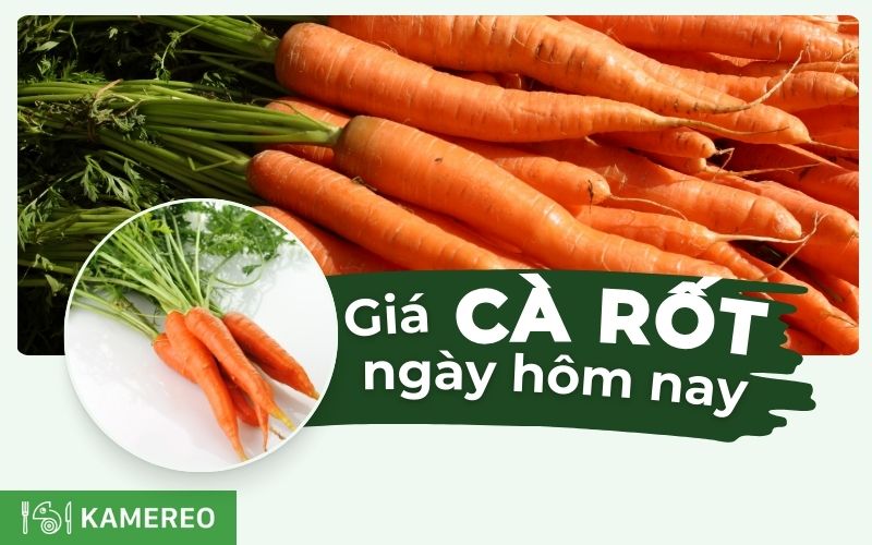 Giá cà rốt hôm nay bao nhiêu 1kg? Cập nhật bảng giá cà rốt mới nhất