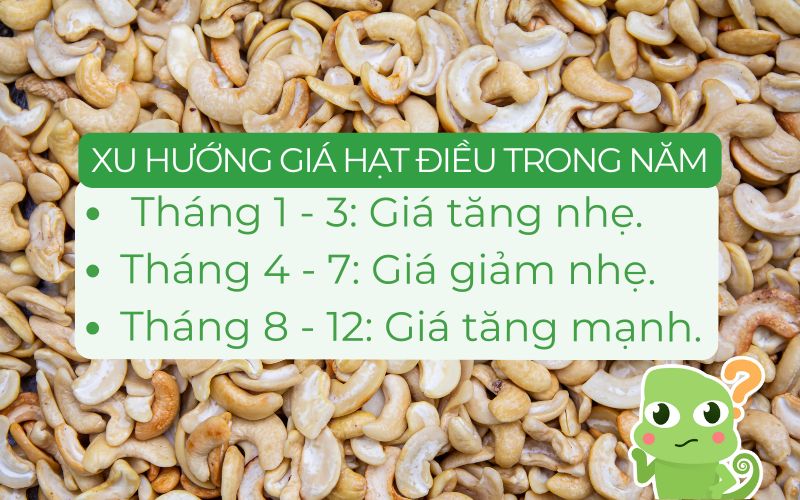 Dự đoán xu hướng giá hạt điều theo các giai đoạn trong năm