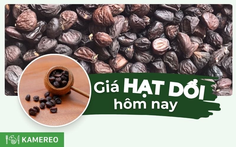 Giá hạt dổi hôm nay bao nhiêu? Cập nhật giá hạt dổi mới nhất