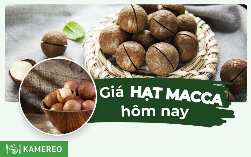 Giá hạt macca hôm nay bao nhiêu 1kg? Cập nhật giá mắc ca tươi, khô mới nhất