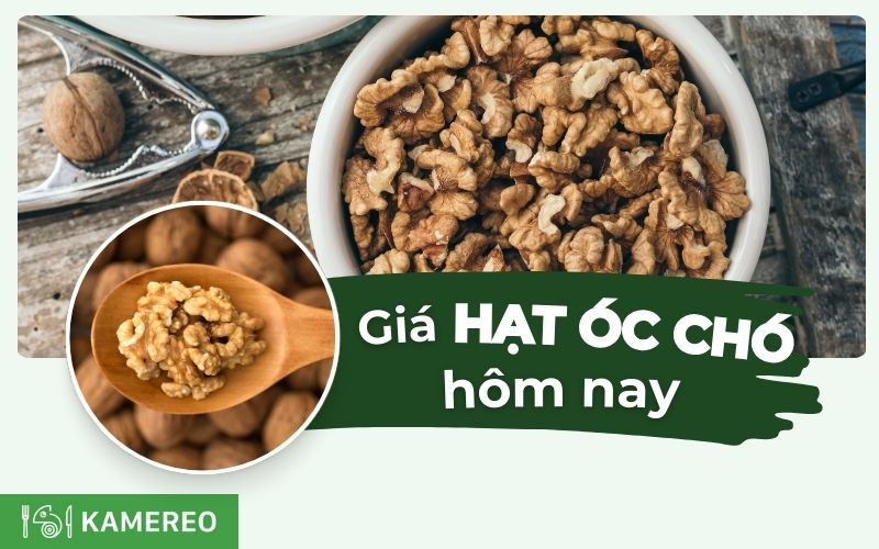 Giá hạt óc chó bao nhiêu 1kg? Cập nhật giá các loại hạt óc chó mới nhất