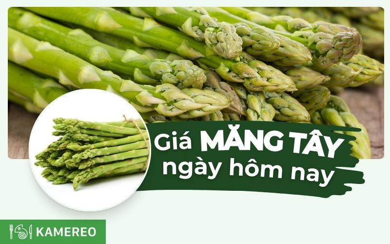 Giá măng tây hôm nay bao nhiêu 1kg? Cập nhật giá măng tây mới nhất