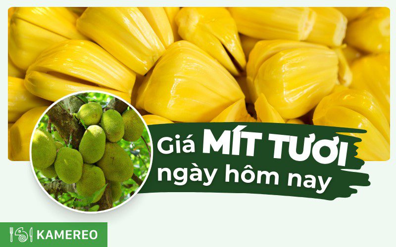 Mít bao nhiêu 1kg? Giá mít hôm nay