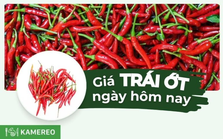 Giá ớt hôm nay trên thị trường cập nhật mới nhất 24 giờ