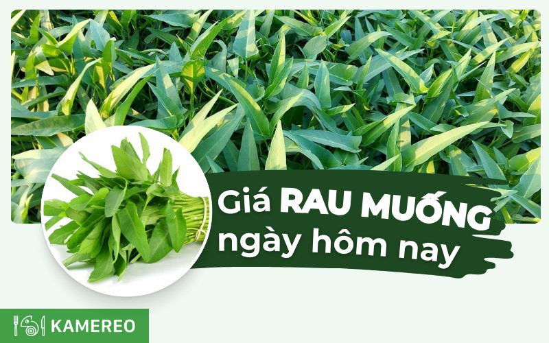 Giá rau muống hôm nay bao nhiêu 1kg?