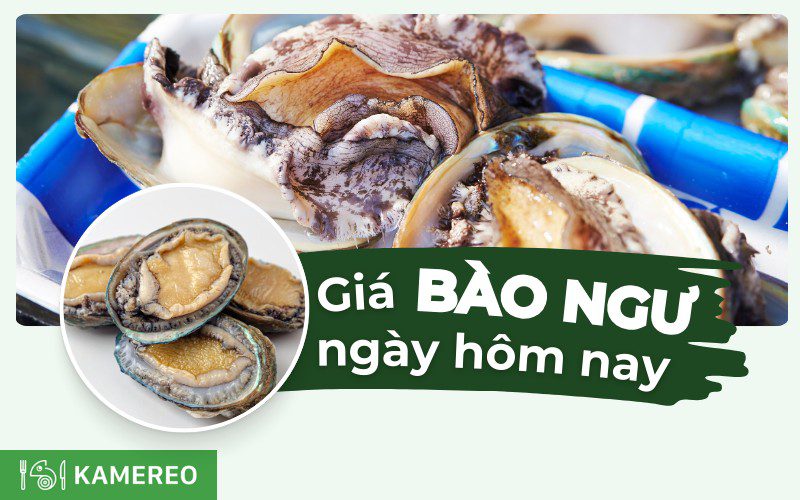 Bào ngư giá bao nhiêu 1kg? Cập nhật giá bào ngư mới nhất