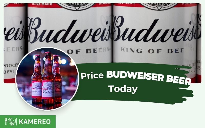 Budweiser Beer Prices: Latest and Detailed Updates