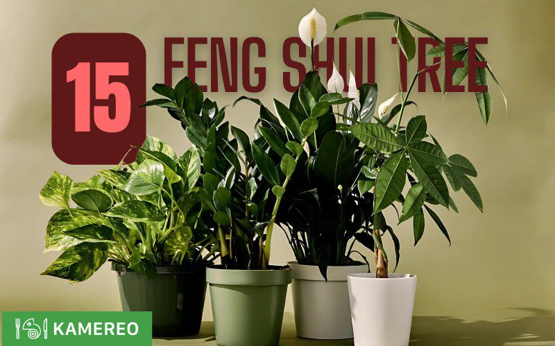 Feng Shui Plants to Attract Wealth and Luck