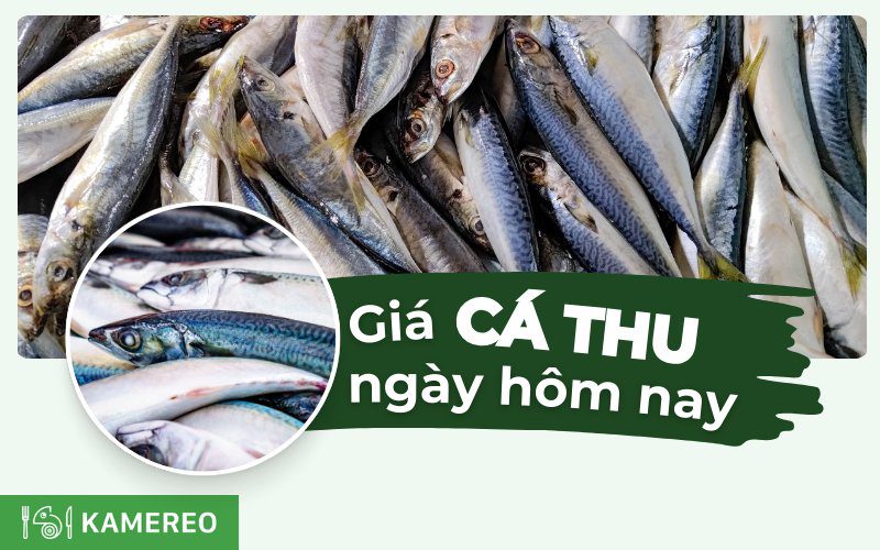 Cá thu bao nhiêu 1kg? Giá cá thu mới nhất