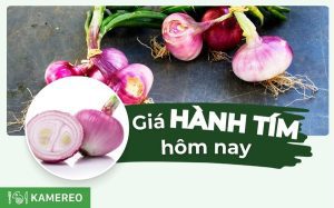 Giá hành tím hôm nay bao nhiêu tiền 1kg? Cập nhật giá hành tím, hành khô mới nhất