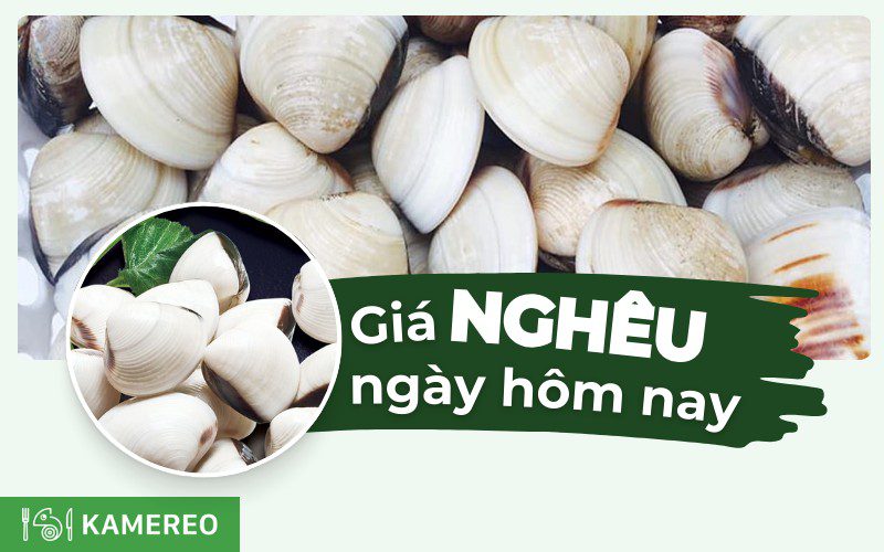 Nghêu bao nhiêu 1kg? Cập nhật giá nghêu hôm nay