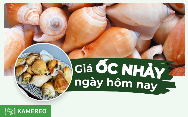 Ốc nhảy bao nhiêu 1kg? Cập nhật giá ốc nhảy mới nhất