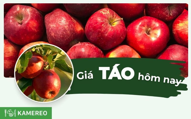 Giá táo hôm nay bao nhiêu 1kg? Cập nhật giá táo mới nhất