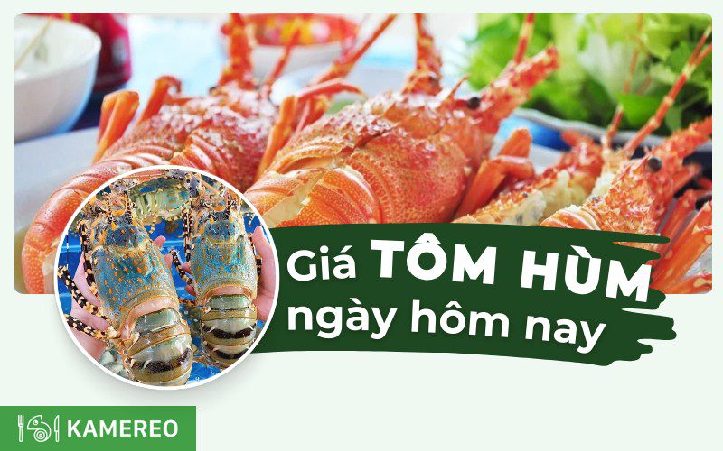 Tôm hùm bao nhiêu 1kg? Bảng giá tôm hùm hôm nay