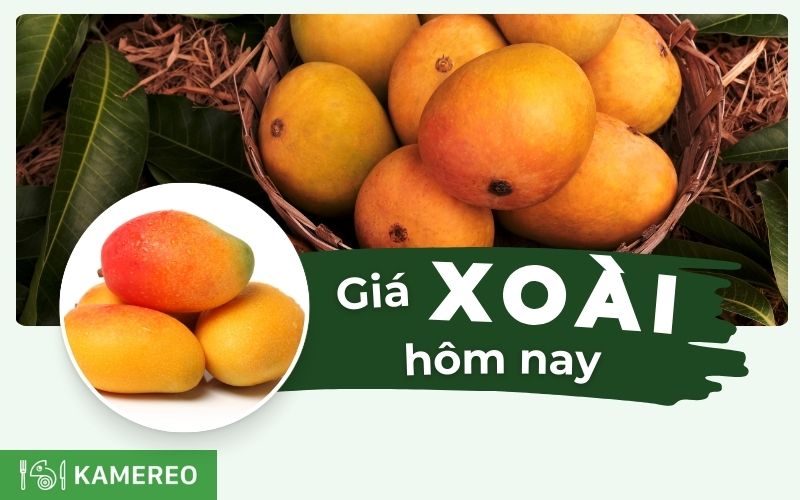 Giá xoài hôm nay bao nhiêu 1kg? Cập nhật giá các loại mới nhất