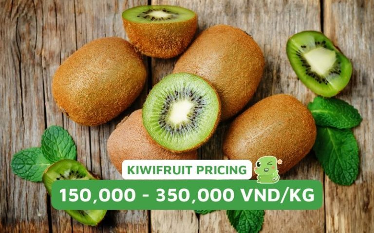 How much is kiwi per kg? Update on the latest prices of golden kiwi and
