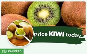 How much is kiwi per kg? Update on the latest prices of golden kiwi and green kiwi today