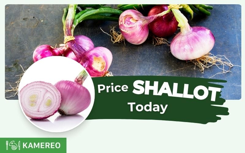 How Much Does 1kg of Shallot Cost? Latest Updates on Shallot and Dried Shallot Prices