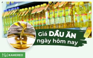 Cập nhật bảng giá các loại dầu ăn trên thị trường