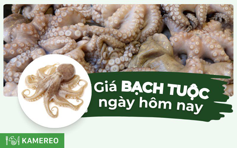 Bạch tuộc bao nhiêu 1kg? Giá bạch tuộc mới nhất