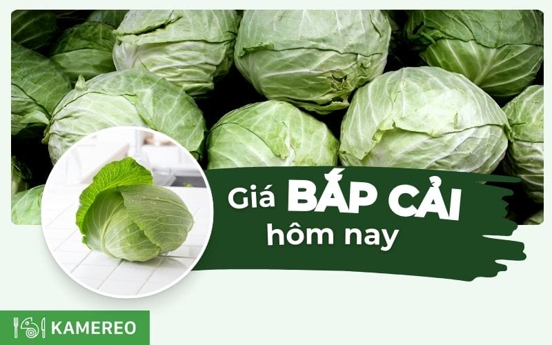 Giá bắp cải hôm nay bao nhiêu 1kg? Cập nhật giá bắp cải xanh, tím, trắng mới nhất!