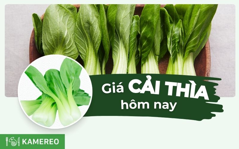 Giá cải thìa hôm nay bao nhiêu? Cập nhật giá cải chíp mới nhất